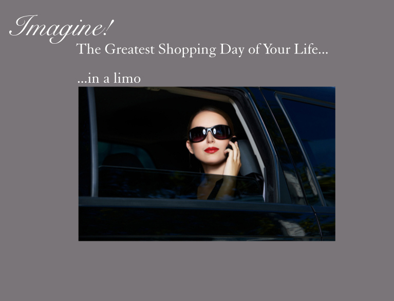 The greatest shopping day of your life, shop in a limousine